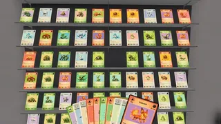 TCG Card Chaos
