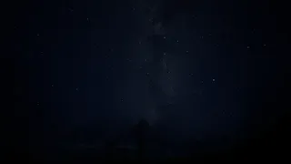 Random Shit