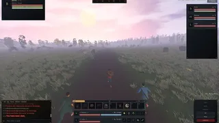 Ashen Wild