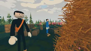 Needle in a Haystack