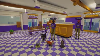 Kennel Chaos