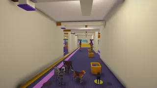 Kennel Chaos