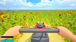 Mow A Lawn