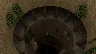 Soft Ruin