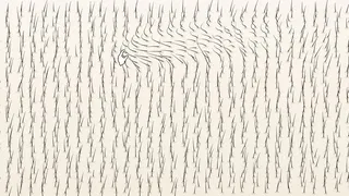 FILO: Something Filamentous