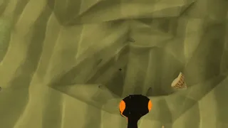 Digging Clams