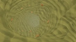 Digging Clams