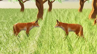 Spirit Fox