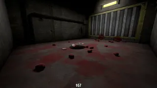 Flesh Pit