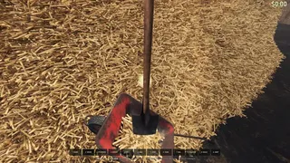 Find The Needle