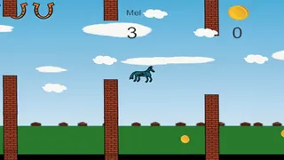 Horsey Jump
