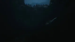 Wulfrot