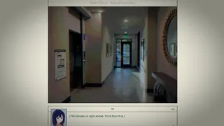 Loop Apartment: Visitor