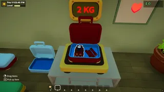 Cat Customs Simulator