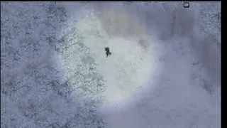 Winter Wraith