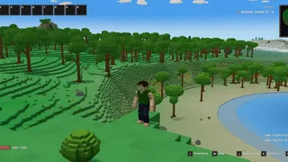 Voxel Wild