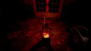 Скриншот 7 к игре Nosophobia