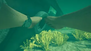 Stranded Deep 2