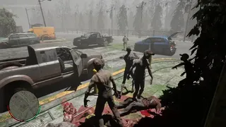 The Dead