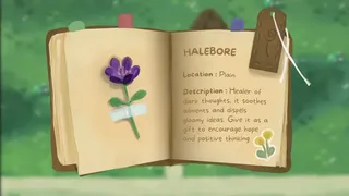 Floraison