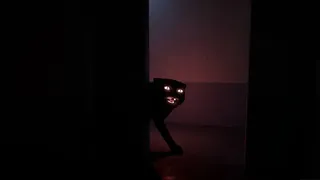 Midnight Pet Clinic