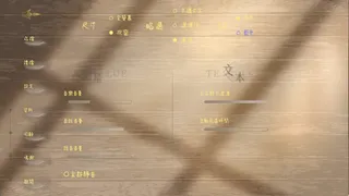 光影同歸