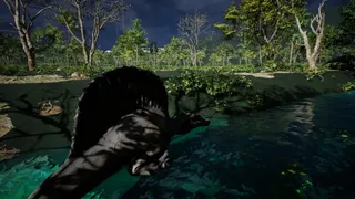 Before The Meteor