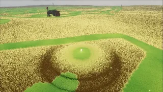 The Lonely Meadow