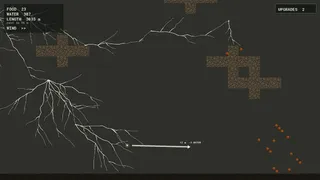 Mycelarium