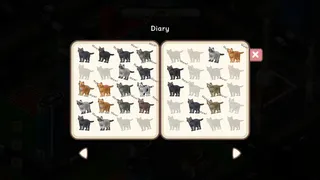 Where Are My Cats?