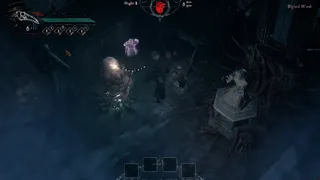 Blight Doctors