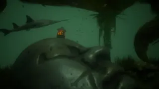 Aquavern