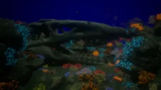 Aquavern