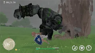 Ring's Guard