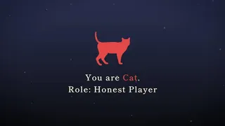 Your Liar