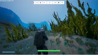 Kamikaze Dolphin