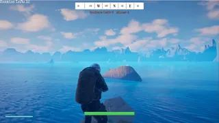Kamikaze Dolphin