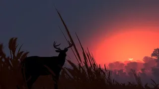 Deer Hunting - The Season 2