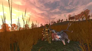 Deer Hunting - The Season 2