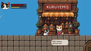 Catstanbul