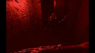 Silver Valley Screams