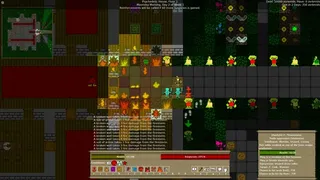 Wizard School Dropout