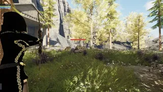 ORTHEVYR