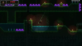 Ducki's Descent