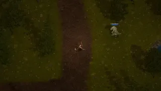 Fragments of Chaos