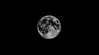 Moon-Oriented Autonomous Biological Model