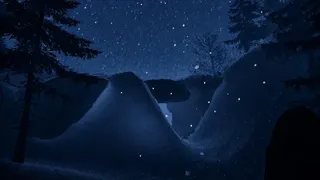 Snowstorm of the mind