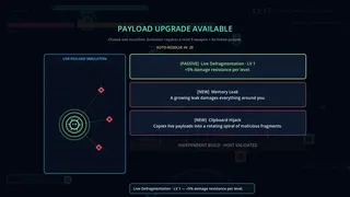 Packet Plague