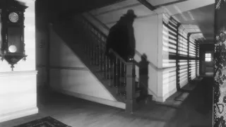 Hatter by Night