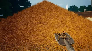 A Needle In a Haystack